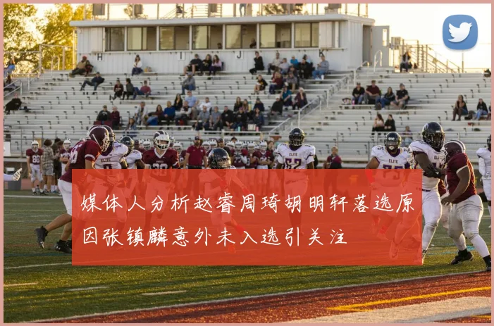 媒体人分析赵睿周琦胡明轩落选原因张镇麟意外未入选引关注